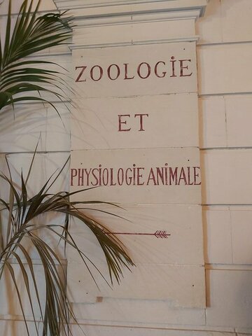 La Zoologie